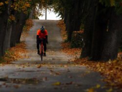 Pedal Power – The Unstoppable Growth of Cycling