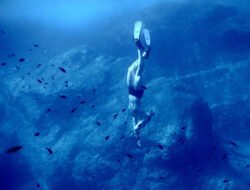 Unlimited Scuba Diving at Beaches Resorts