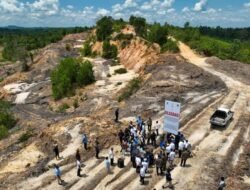 4.000 Kontainer Batu Bara Ilegal Senilai Rp80 Miliar dari Kawasan IKN Diamankan