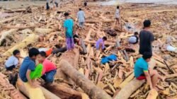 Walhi Ungkap Deforestasi Batang Toru Jadi Akar Banjir dan Longsor di Sumut