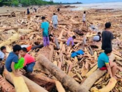 Walhi Ungkap Deforestasi Batang Toru Jadi Akar Banjir dan Longsor di Sumut